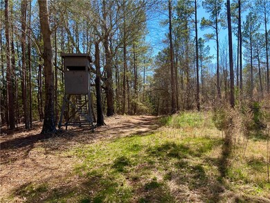 00 Sarah Simpson Rd, Iva, SC 29655 - photo 5