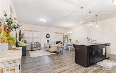 50113 Robins Nest Ln, Lancaster, SC 29720 - photo 6