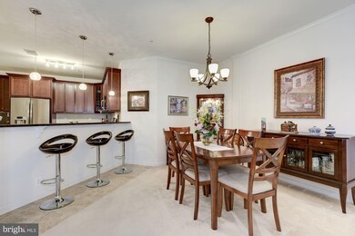 24636 Woolly Mammoth Terrace unit 201, Aldie, VA 20105 - photo 7