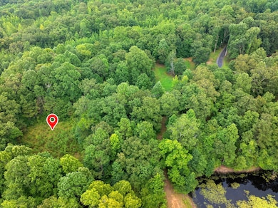 255 Jason Hollow Rd, Cedar Grove, TN 38321 - photo 3