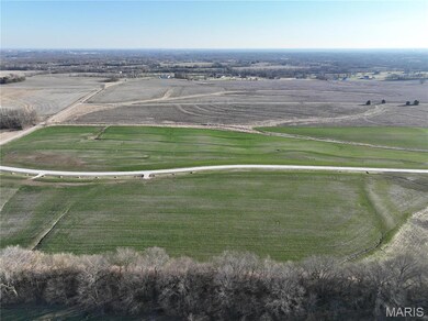 1000 Quail Grove Circle (Lot 22), O'Fallon, MO 63366 - photo 6
