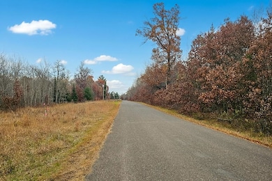0 Welch Rd unit 25650595, Union Township, WI 54893 - photo 4