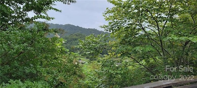 248 Cardinal Crest Dr, Burnsville, NC 28714 - photo 6