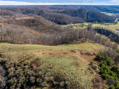 4674 Parkersburg Rd, Reedy, WV 25270 - photo 7