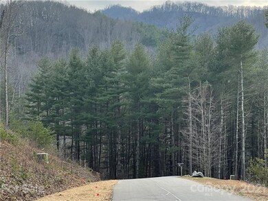 29 Tallwood Rd, Leicester, NC 28748 - photo 7