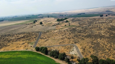 1008 Eltopia Rd, Eltopia, WA 99330 - photo 5