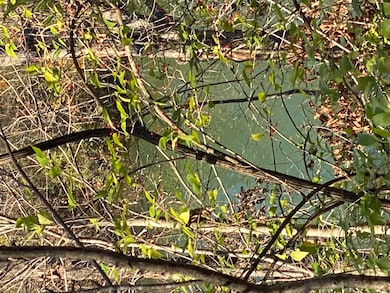 0 E Redbud St, Springfield, MO 65804 - photo 3