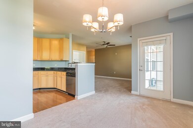 22611 Blue Elder Terrace unit 202, Ashburn, VA 20148 - photo 4