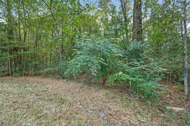 Lot 410 N Woods, Cleveland, TX 77328 - photo 5