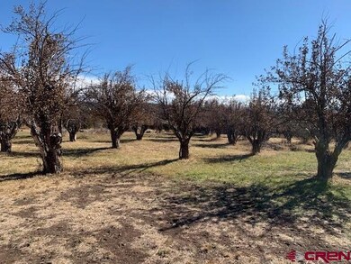 23687 Ute Trail Rd, Cedaredge, CO 81413 - photo 2