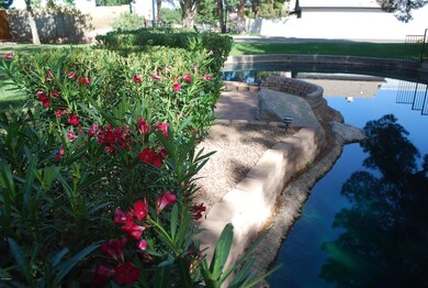 1655 E Chicago St, Chandler, AZ 85225 - photo 7