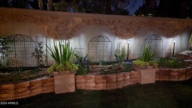 Backyard at night