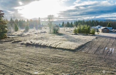 14608 Glacier Ridge Ln SE, Yelm, WA 98597 - photo 6