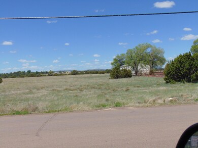 0 N 16th St unit 213147, Show Low, AZ 85901 - photo 5