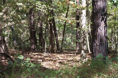 10 Kiswick Cir, Bella Vista, AR 72714 - photo 2