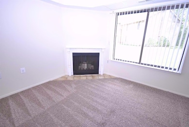 Gas fireplace