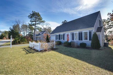 In Cotuit Meadows