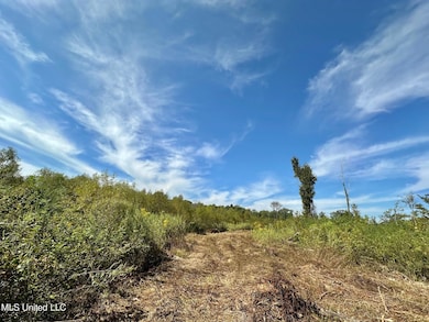 0 Highway 35 unit 4126739, Walnut Grove, MS 39189 - photo 2