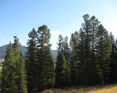 TBD Iris Meadow, Big Sky, MT 59716 - photo 4