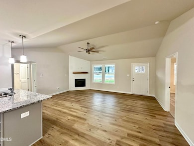 114 Dees Meadow Ln, Fremont, NC 27830 - photo 6