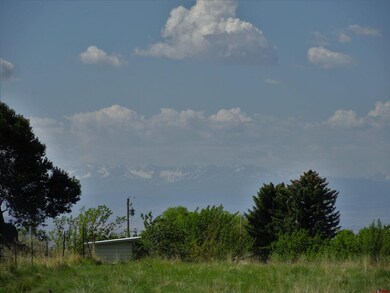 19682 2375 Rd, Cedaredge, CO 81413 - photo 3