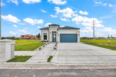 2917 N Alyna Ave, Edinburg, TX 78541 - photo 2