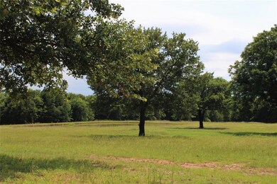 unlisted-address, Boyd, TX 76023 - photo 2