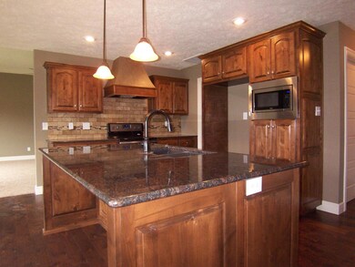 1704 E Chickamauga Dr, Republic, MO 65738 - photo 5