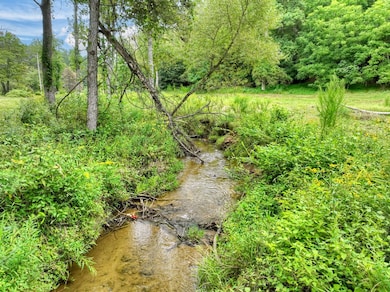 34.51 AC Weaver Creek Rd, Blue Ridge, GA 30513 - photo 2