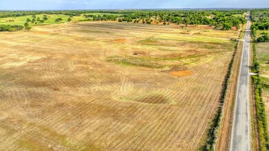 Lot 11 Pine Rd, Poolville, TX 76487 - photo 6