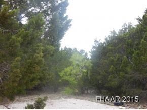 300 Apache St, Kempner, TX 76539 - photo 4