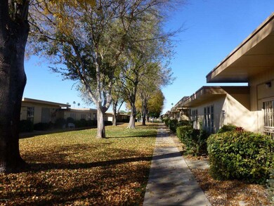 Lush, green courtyard