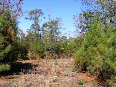 149 Branham Branch Rd, Swansea, SC 29160 - photo 4