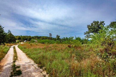 1700 Sutterfield Rd, Fox, AR 72051 - photo 6