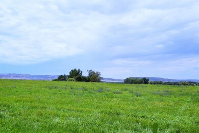 1658 O Rd, Loma, CO 81524 - photo 6