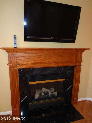 20375 Cottswold Terrace, Sterling, VA 20165 - photo 7