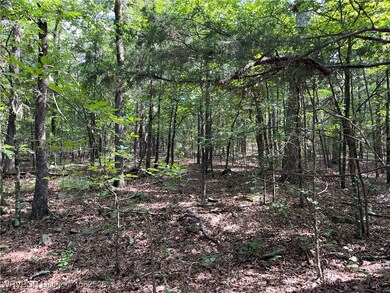 0089 Tract 8 & 9 Goats Bluff Rd, Wister, OK 74966 - photo 7