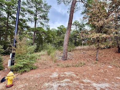 109 and 115 Olomana Ct, Bastrop, TX 78602 - photo 3