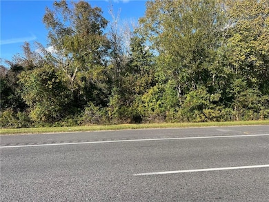 Lot 21 C-2 Louisiana 46, St. Bernard, LA 70085 - photo 4