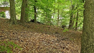 Hardwoods and Pine Shade the lot
