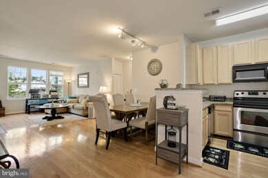 22607 Blue Elder Terrace unit 202, Ashburn, VA 20148 - photo 4