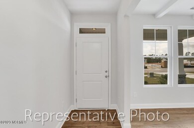 Representative Photo (93)