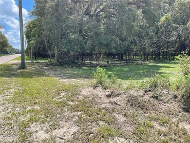 0 Drum Rd, Zephyrhills, FL 33541 - photo 2