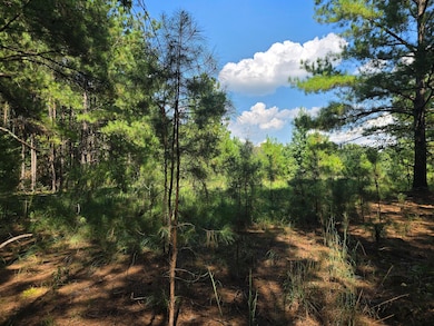 15 Dyches Rd, Grovetown, GA 30813 - photo 5