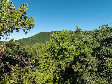 Lot 3 Wilderness Way, Ellijay, GA 30536 - photo 4