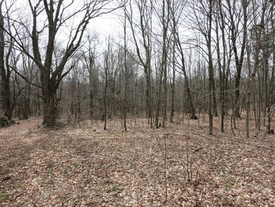 209 Wales Rd, Monson, MA 01057 - photo 6