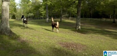 510 Parsons Way unit 31, Birmingham, AL 35242 - photo 6