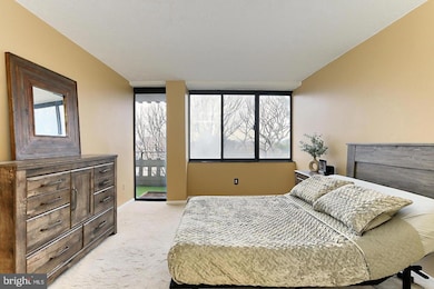 The Olympus unit 914, Alexandria, VA 22304 - photo 6