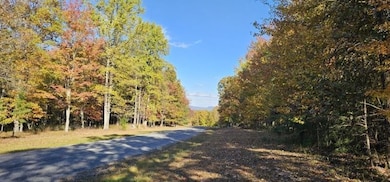 515 Wilderness Way, Dunlap, TN 37327 - photo 6