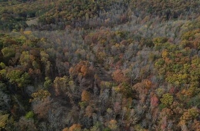 2159 Narrow Gap Rd, Crab Orchard, KY 40419 - photo 3